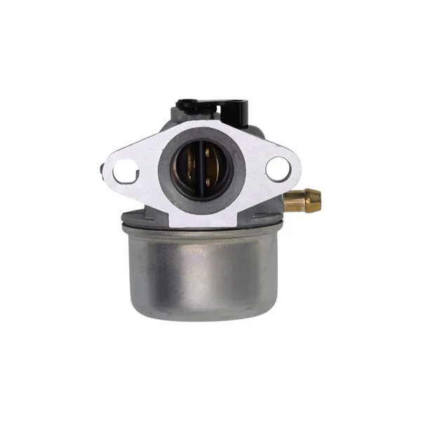 Vergaser für Briggs & Stratton Motoren (OEM 799868 14111 497586 498170 498254 497314 497347 694202 693909 692648 799872 790821 498255)
