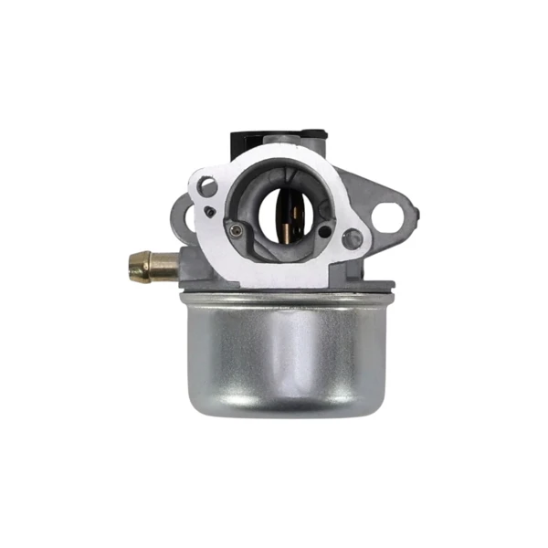 Vergaser für Briggs & Stratton Motoren (OEM 799868 14111 497586 498170 498254 497314 497347 694202 693909 692648 799872 790821 498255)