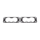 Vergaser für Briggs & Stratton V-Twin Motoren 20,0 PS - 25,0 PS (OEM 799230 699709 499804)