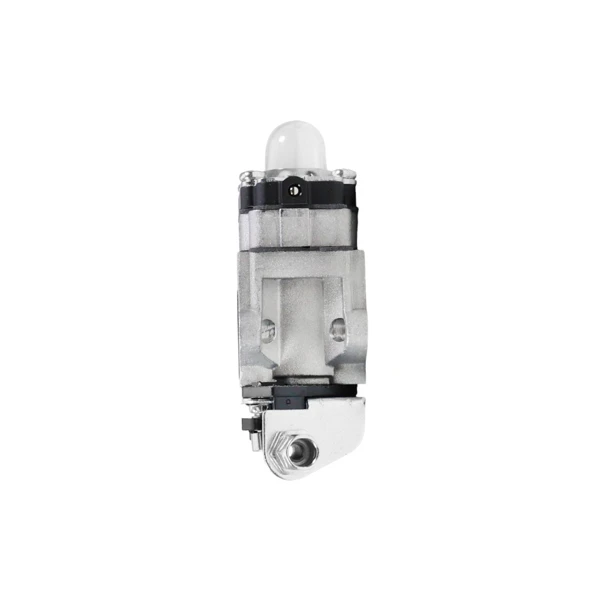 Vergaser für Freischneider Echo SRM2601 SRM2400 SRM2610 PE2601 AL-KO Alko Hecht Chinesische Marken und Freischneider aus dem Hobbymarkt (OEM 12300057731)