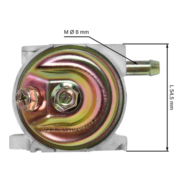 Vergaser für Motoren Zonghsen XP200 Automatikchoke (100005384-0001)
