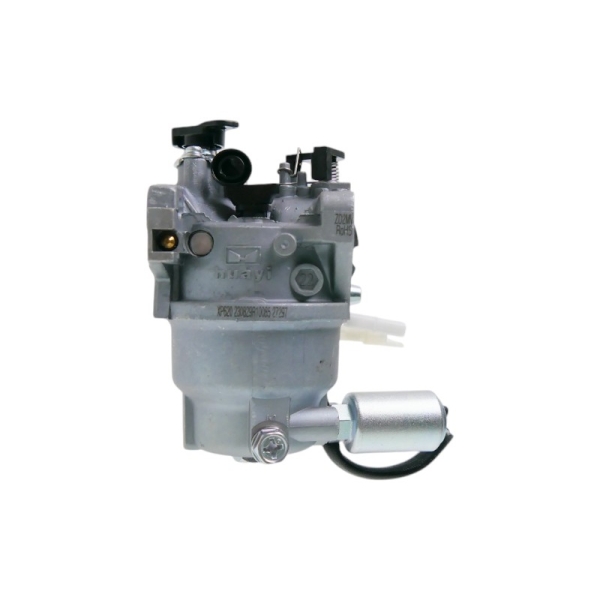 Vergaser für Motoren Zongshen XP620 17,6 PS (OEM 100005493)