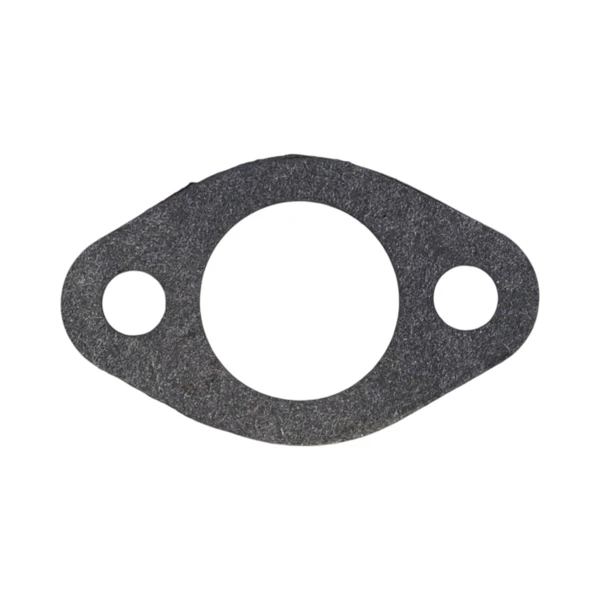 Vergaser-Reparatursatz für Briggs & Stratton Motoren (OEM 291763 295938 394693)