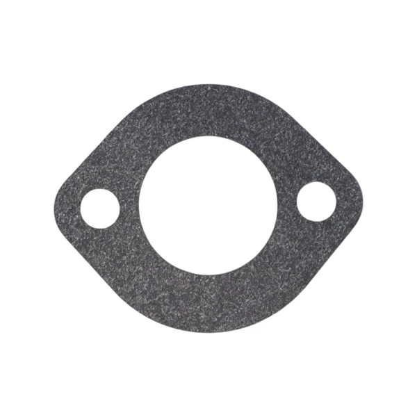 Vergaser-Reparatursatz für Briggs & Stratton Motoren (OEM 291763 295938 394693)
