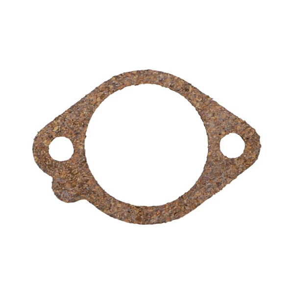 Vergaser Reparatursatz für Briggs & Stratton Motoren (OEM 498261 398183 490937 492495 493762 498260)