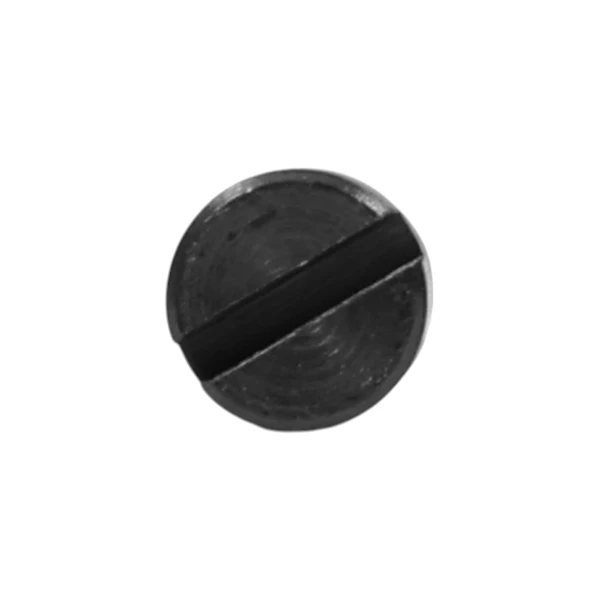 Vergaser Reparatursatz für Briggs & Stratton Motoren (OEM 498261 398183 490937 492495 493762 498260)