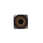 Welle für Stihl FS160 FS220 FS280 FS290 Freischneider (OEM 41197113210)
