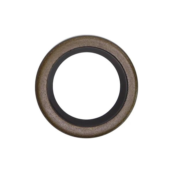 Wellendichtringe für Briggs & Stratton Classic Sprint Quatro Quantum Motoren Leistung 2,0 PS - 5,0 PS (OEM 27676 299819 89660)