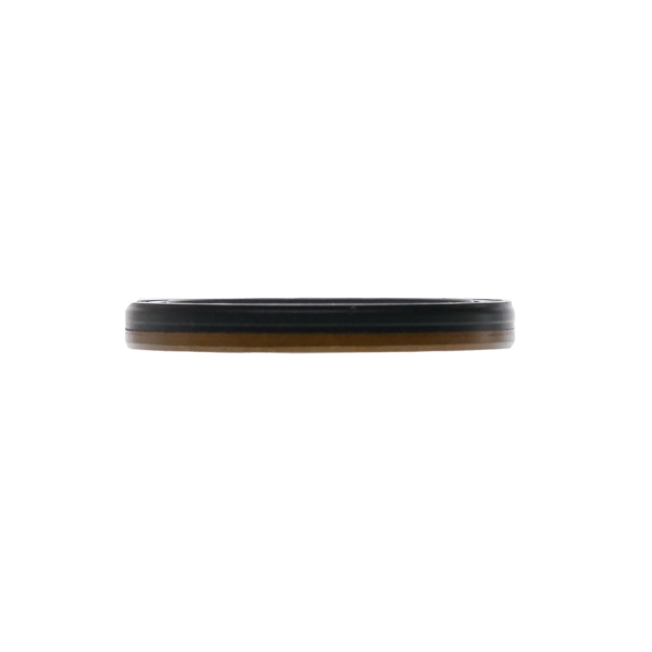 Wellendichtringe für Briggs & Stratton Intek OHV Power Vanguard Motoren Leistung 10,0 PS - 19,0 PS (OEM 690947 791892 792385 795387)