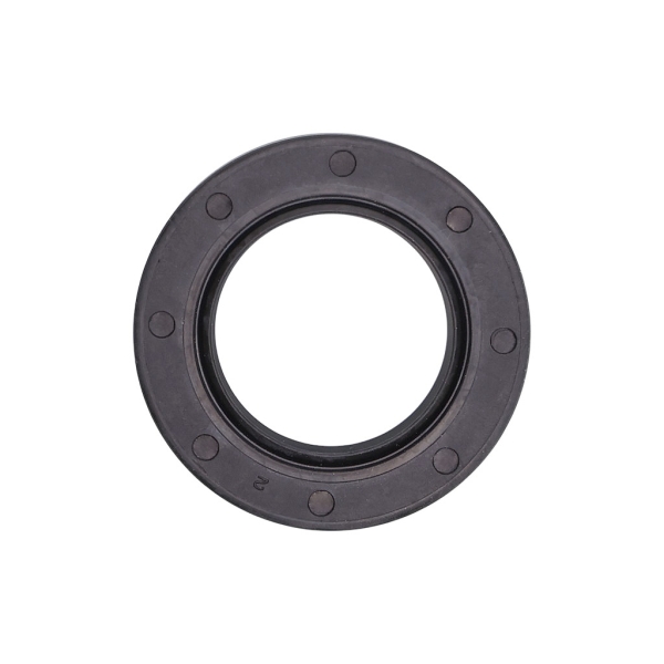 Wellendichtringe für Briggs & Stratton Motoren 5,0 PS - 6,0 PS 399781S (OEM 399781)
