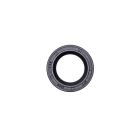 Wellendichtringe für Briggs & Stratton Motoren Cassic Sprint Quatro Power 3.0 PS - 5.0 PS Tecumseh Originalteil (OEM 025492 25492 291841 391483 391483S)