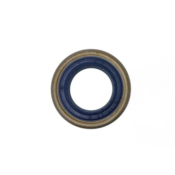 Wellendichtringe für Husqvarna 61 66 262 266 268 272 K750 250R 343R 345R 355RX 555RXT Kettensägen und Freischneider (OEM 503260204)