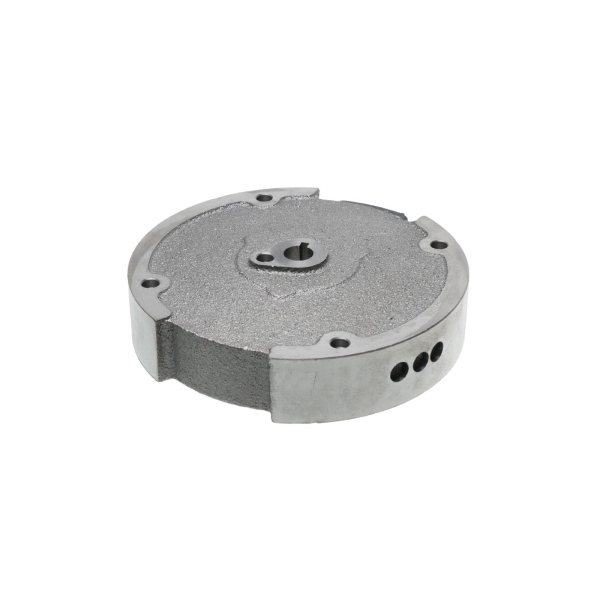 Zündmagnet für Zongshen XP200A Motoren (OEM 100053861)