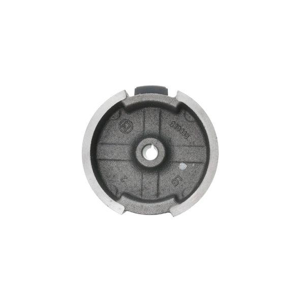 Zündmagnet für Zongshen XP200A Motoren (OEM 100053861)
