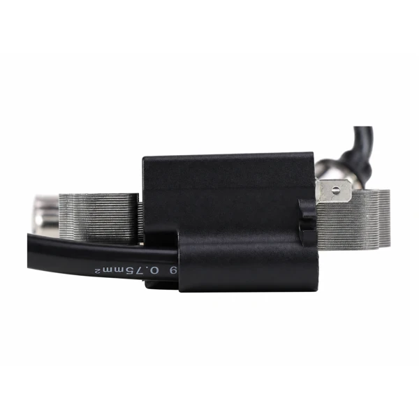 Zündung für Briggs & Stratton Motoren AVS 10KM-19KM (OEM 799650 592841 795315)