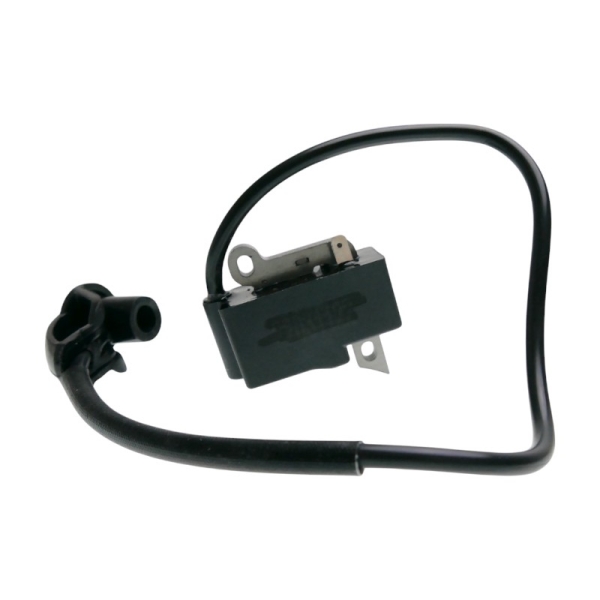 Zündung für Freischneider Stihl FS120 FS200 FS250 ab Baujahr 2016 (OEM 41344001312)