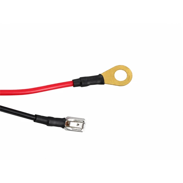 Zündung für Oleomac 947 952 GS520 Kettensägen (OEM 2501001R)