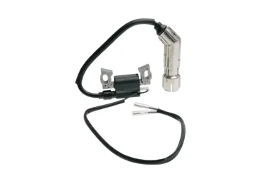 Zündung für Zongshen 168F 168FB 170F Motorleistung 6,5 PS 100009241 (OEM 100009241)