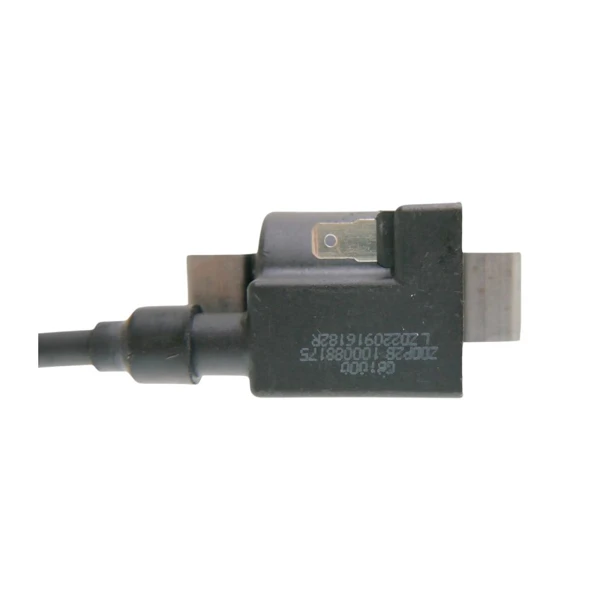 Zündung für Zongshen GB1000 Motoren (OEM 100088175)