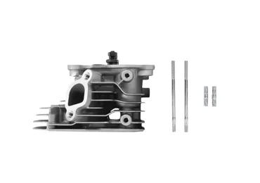 Zylinderkopf für Honda GX160 GX200 Zongshen 168FB Motoren (OEM 100002382)